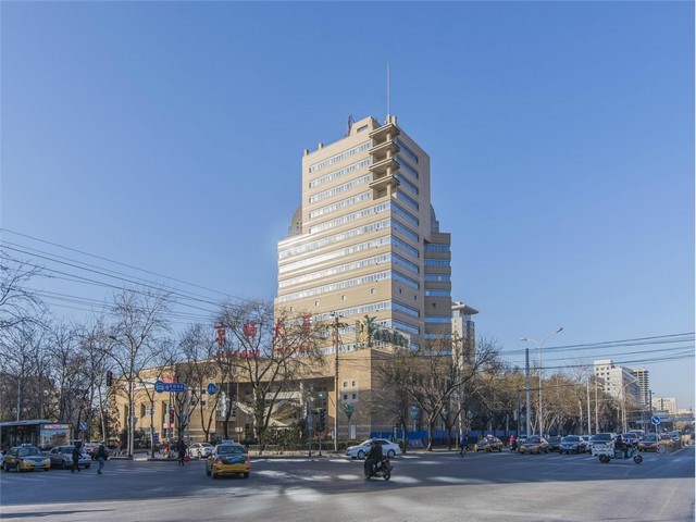 上海路鼓楼广场效果宠物医生推荐咨询